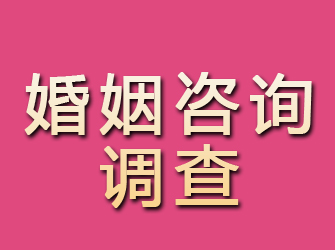 淮安婚姻咨询调查