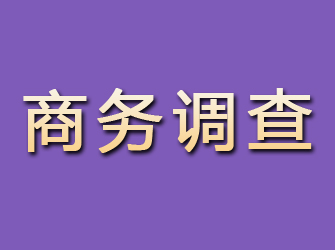 淮安商务调查